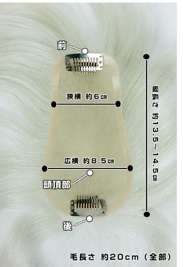 白髪１００％のヘアピース（型番：HP100-100）